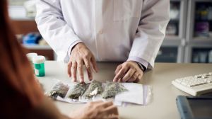 Study reveals medical cannabis' potential in cancer treatment, urges nationwide legalization