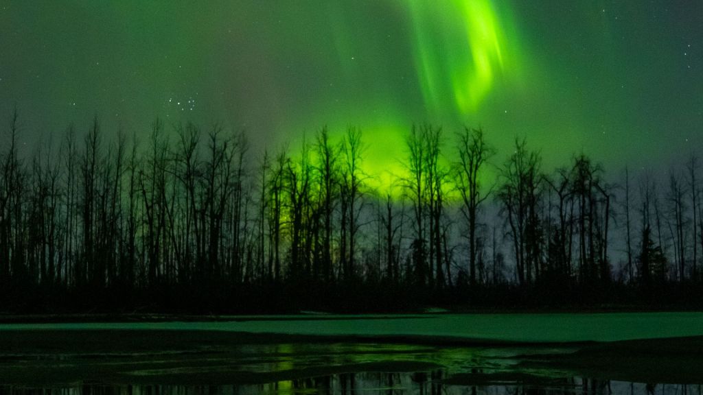 The northern lights, usually relegated to far-off fantasy lands such as Norway and Iceland, could grace the skies of up to 23 states.