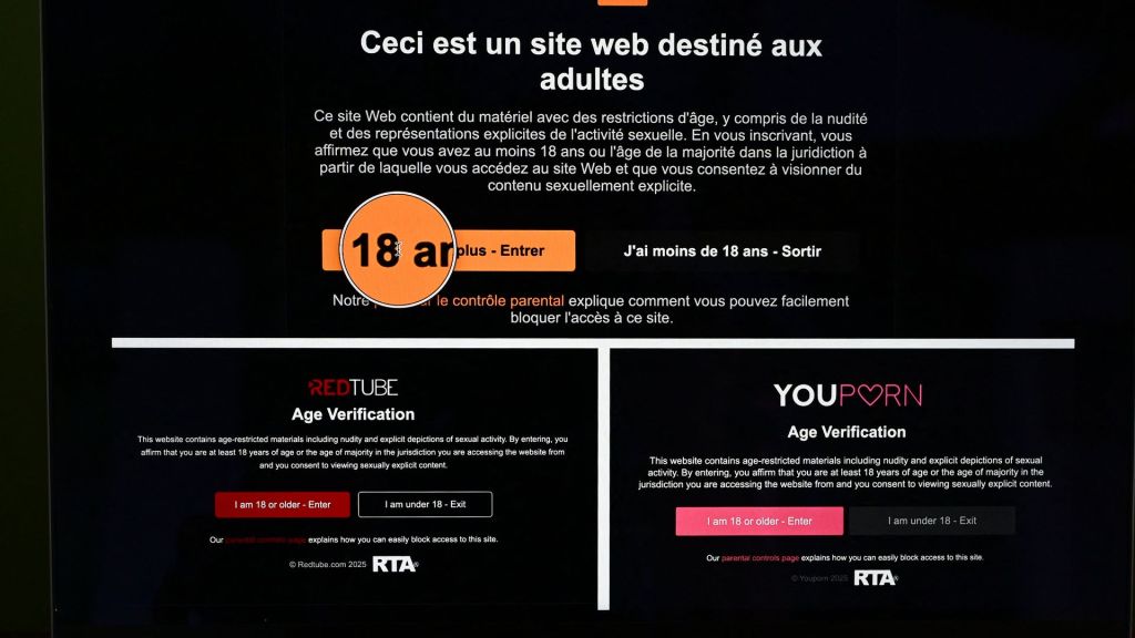 Pornhub and its sister sites suspended access for French users on Thursday, June 5, in protest of a new national law.